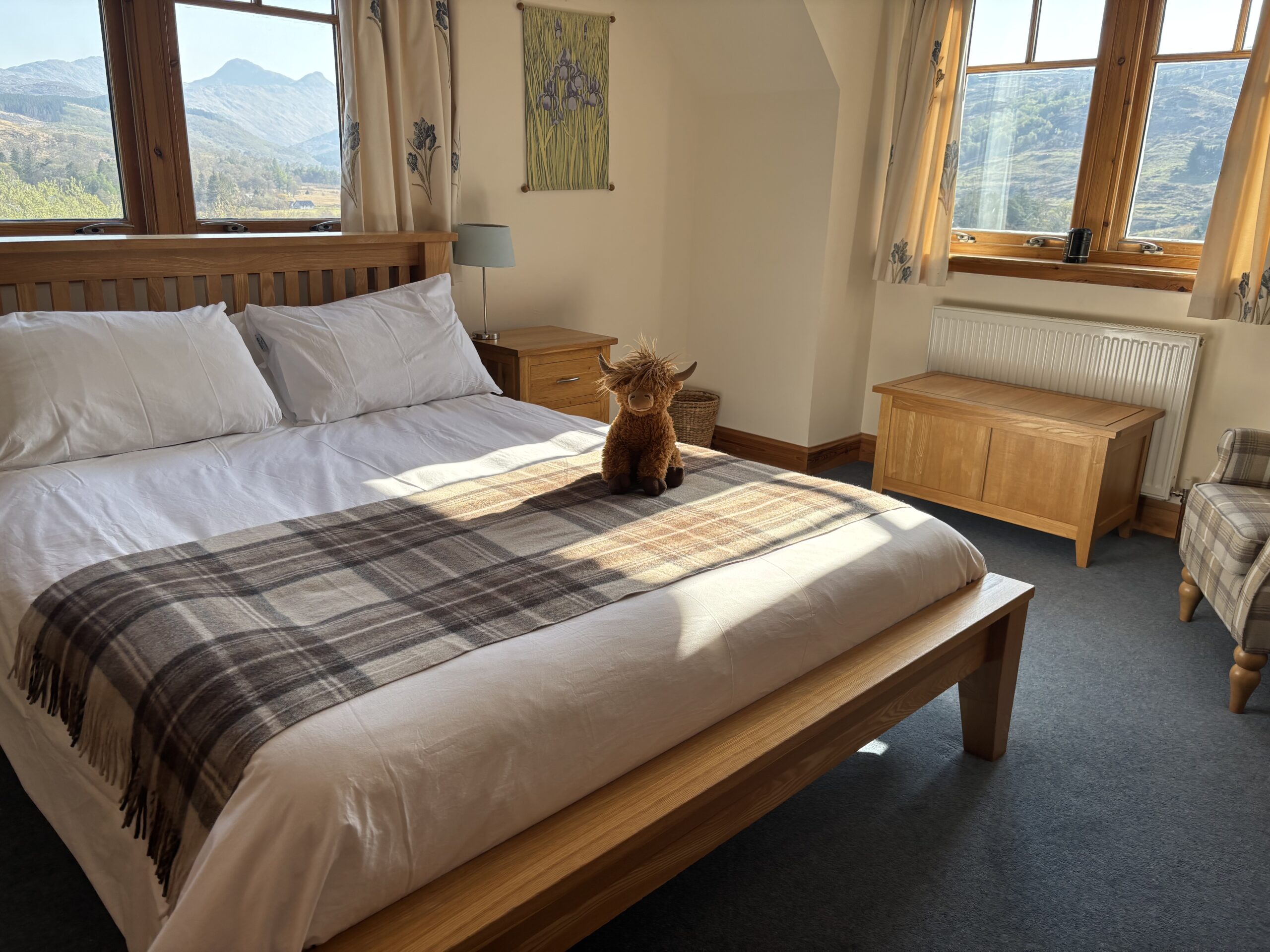 IMG_6869